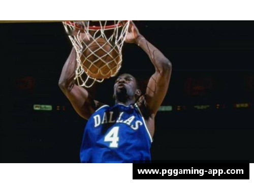 德克风云：NBA传奇巨星德克的生涯全记录