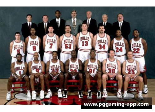 低调观看免费NBA直播：全面指南