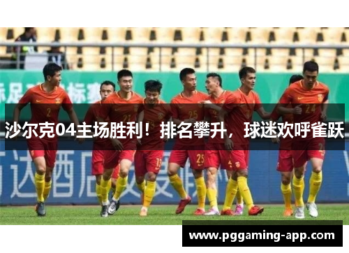 沙尔克04主场胜利！排名攀升，球迷欢呼雀跃