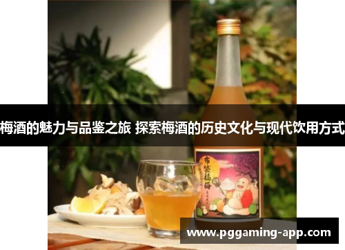 梅酒的魅力与品鉴之旅 探索梅酒的历史文化与现代饮用方式