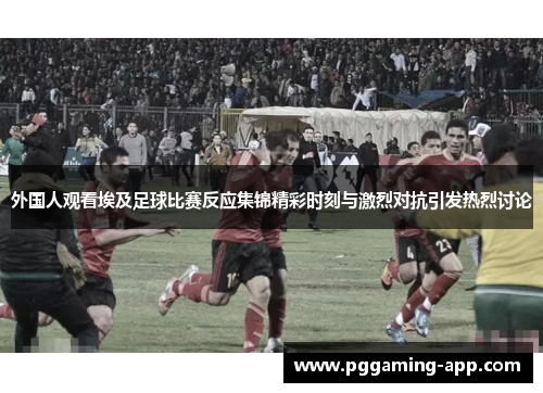 外国人观看埃及足球比赛反应集锦精彩时刻与激烈对抗引发热烈讨论